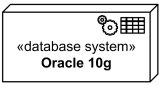 Oracle 10g DBMS Execution Environment.